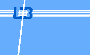party flag